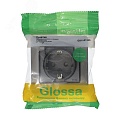 Розетка GLOSSA GSL001248 с/з с крышкой и шторками платина Розетка GLOSSA GSL001248 с/з с крышкой и шторками платина