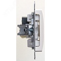 Розетка GLOSSA GSL000691 TV, механизм, перламутр Розетка GLOSSA GSL000691 TV, механизм, перламутр